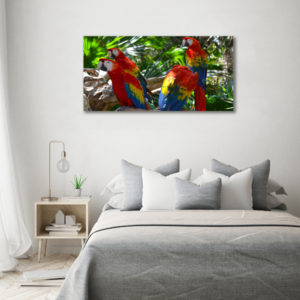 Tablou Printat Pe Sticlă papagali Macaws