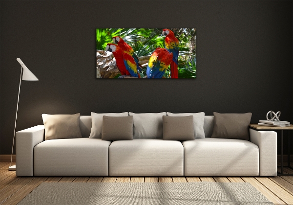 Tablou Printat Pe Sticlă papagali Macaws