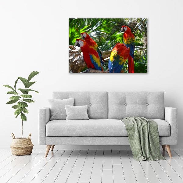 Tablou Printat Pe Sticlă papagali Macaws
