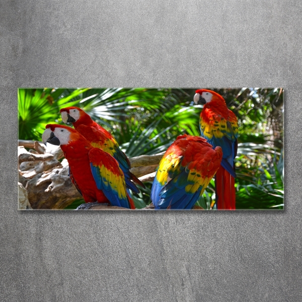 Tablou Printat Pe Sticlă papagali Macaws