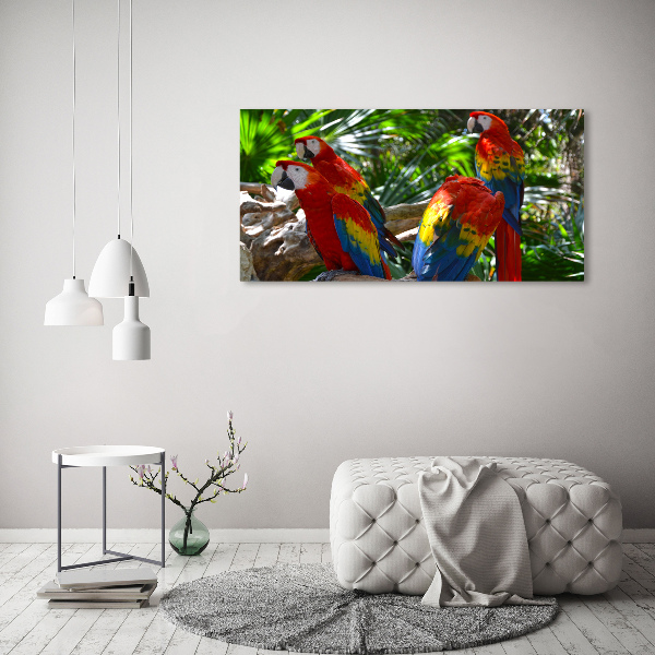 Tablou Printat Pe Sticlă papagali Macaws