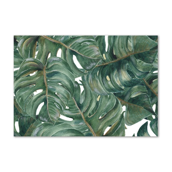 Tablou sticlă Monstera