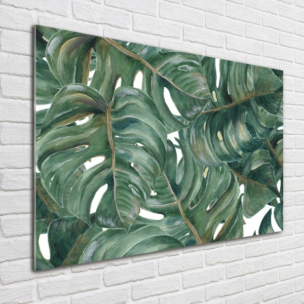 Tablou sticlă Monstera