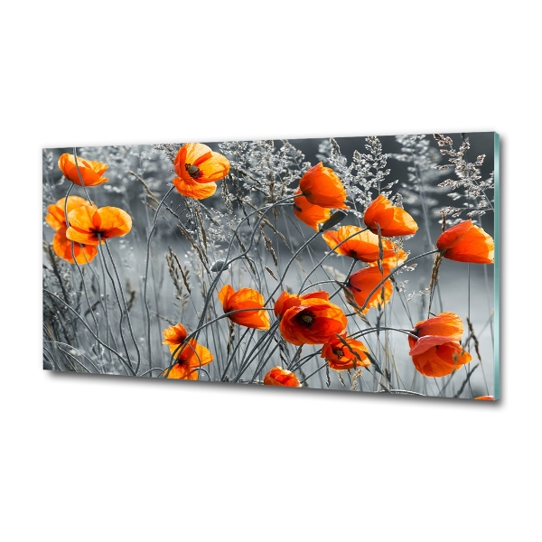 Tablou sticlă wildflowers maci