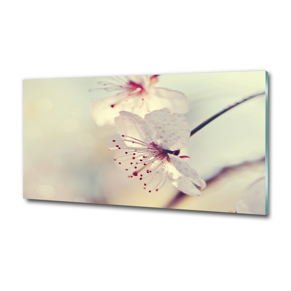 Imagine de sticlă floare de cires