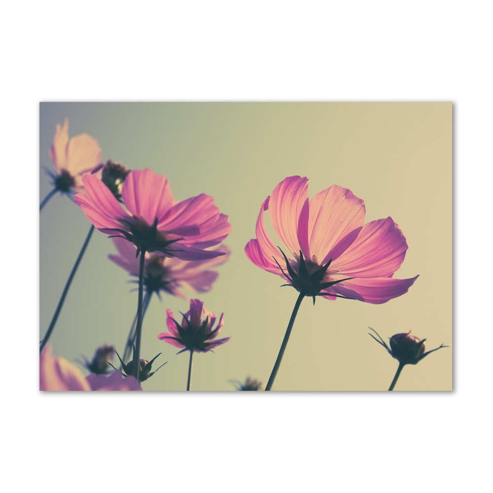 Fotografie imprimată pe sticlă flori roz