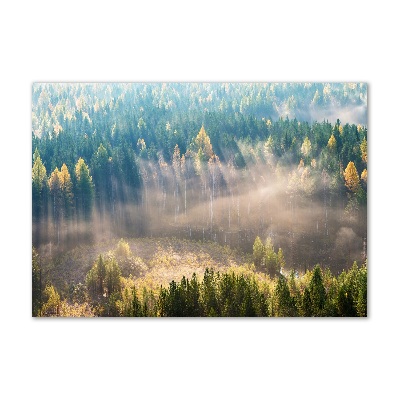 Tablou Printat Pe Sticlă Ceață în pădure