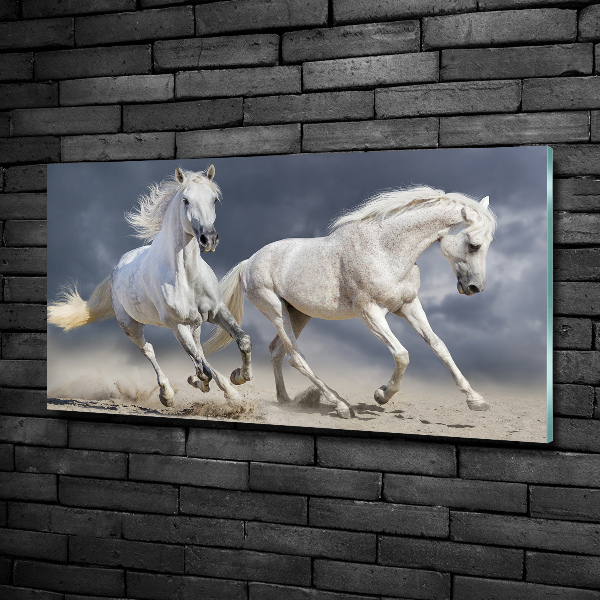 Fotografie imprimată pe sticlă White Beach Horse