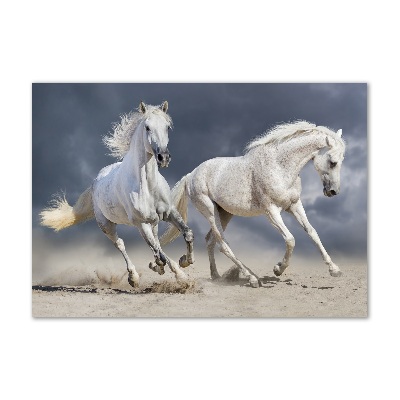 Fotografie imprimată pe sticlă White Beach Horse