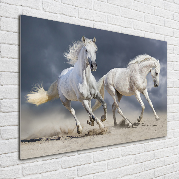 Fotografie imprimată pe sticlă White Beach Horse