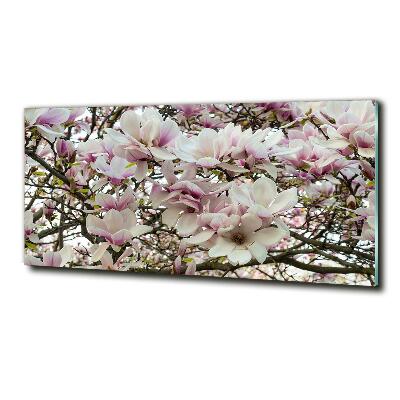 Fotografie imprimată pe sticlă flori magnolia