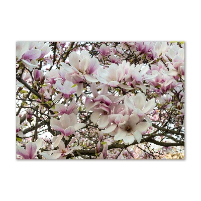 Fotografie imprimată pe sticlă flori magnolia