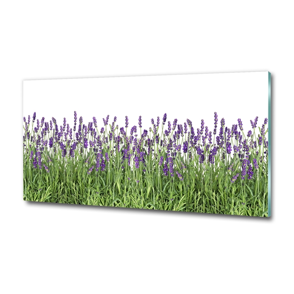 Fotografie imprimată pe sticlă flori de lavandă