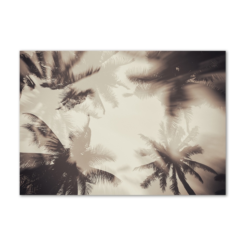 Imagine de sticlă palmieri