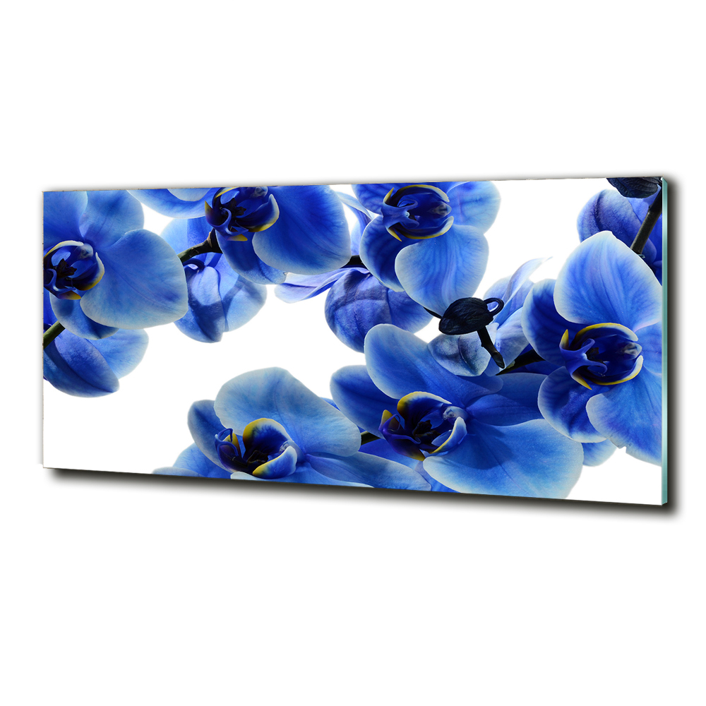 Tablou Printat Pe Sticlă albastru orhidee