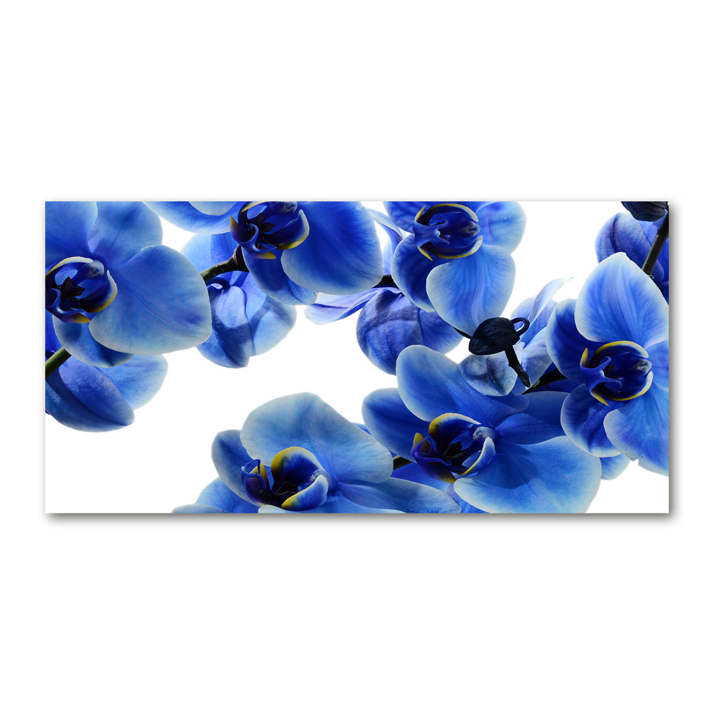 Tablou Printat Pe Sticlă albastru orhidee