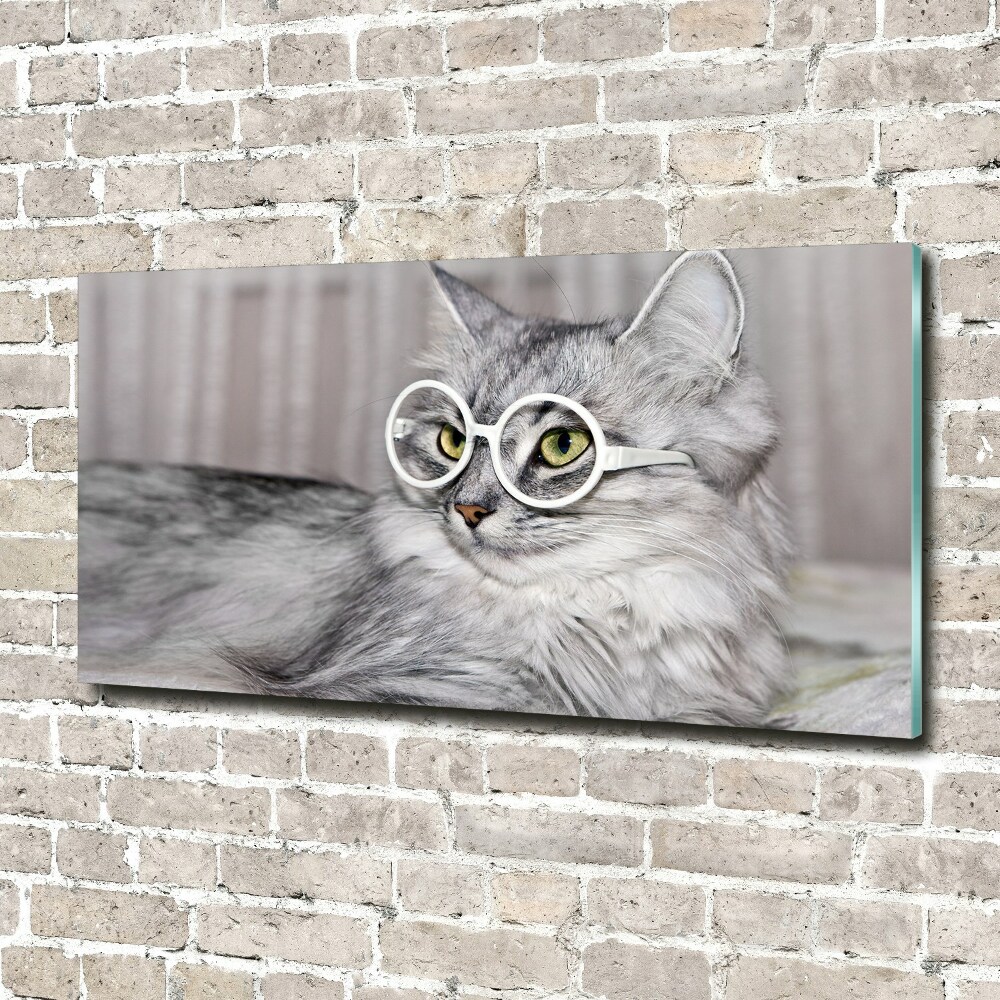 Tablou Printat Pe Sticlă Cat cu ochelari