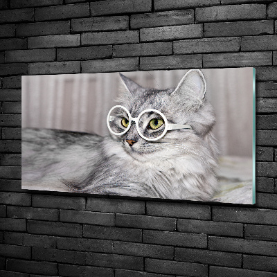 Tablou Printat Pe Sticlă Cat cu ochelari