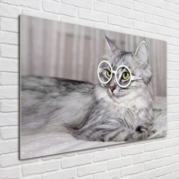 Tablou Printat Pe Sticlă Cat cu ochelari