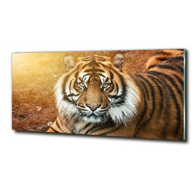 Imagine de sticlă tigru bengalez