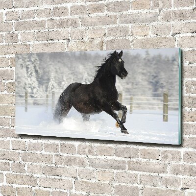 Tablou pe pe sticlă Un cal în galop de zăpadă