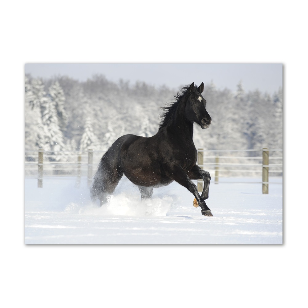 Tablou pe pe sticlă Un cal în galop de zăpadă