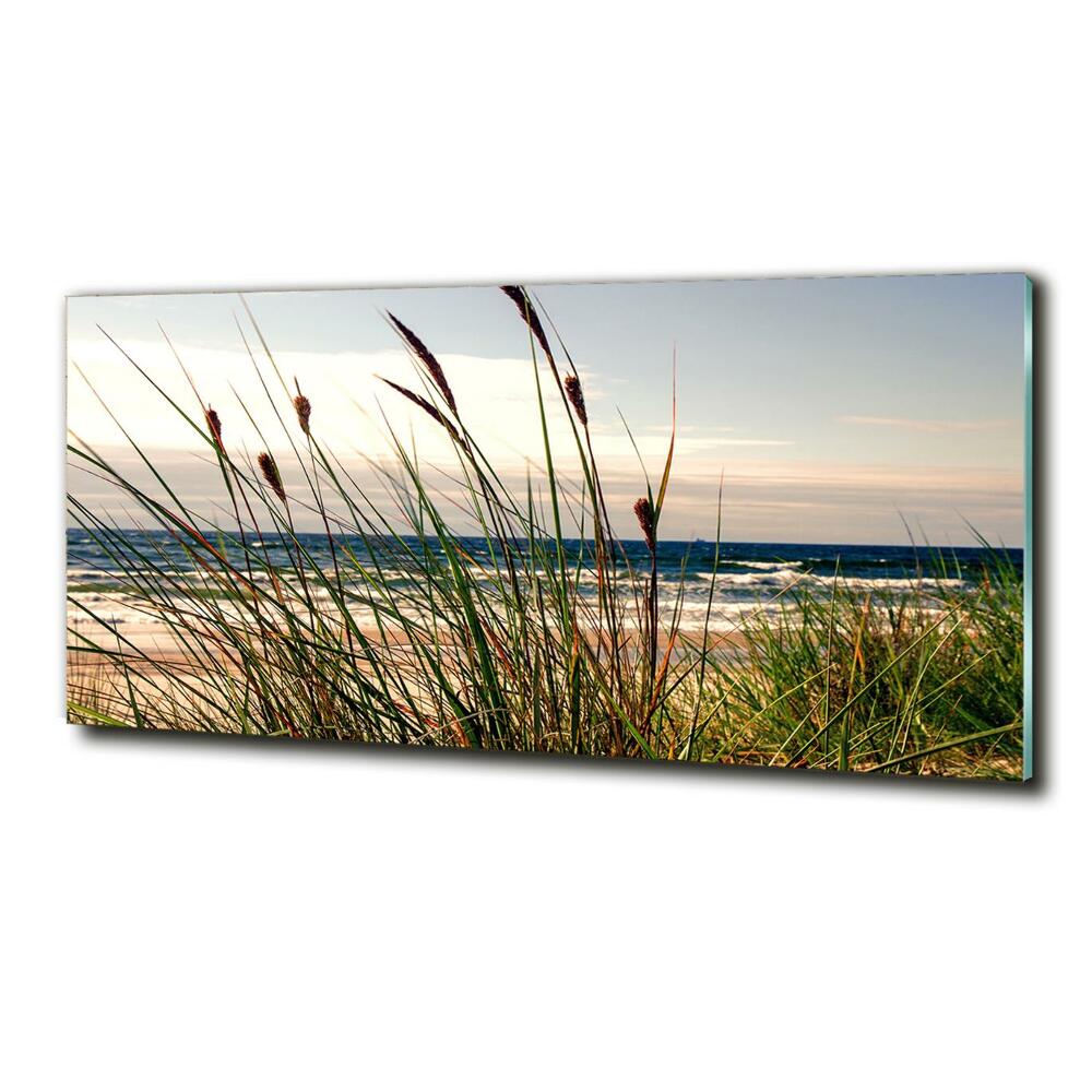 Imagine de sticlă dune de coastă