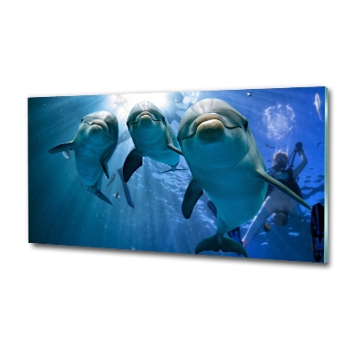 Imagine de sticlă trei delfini