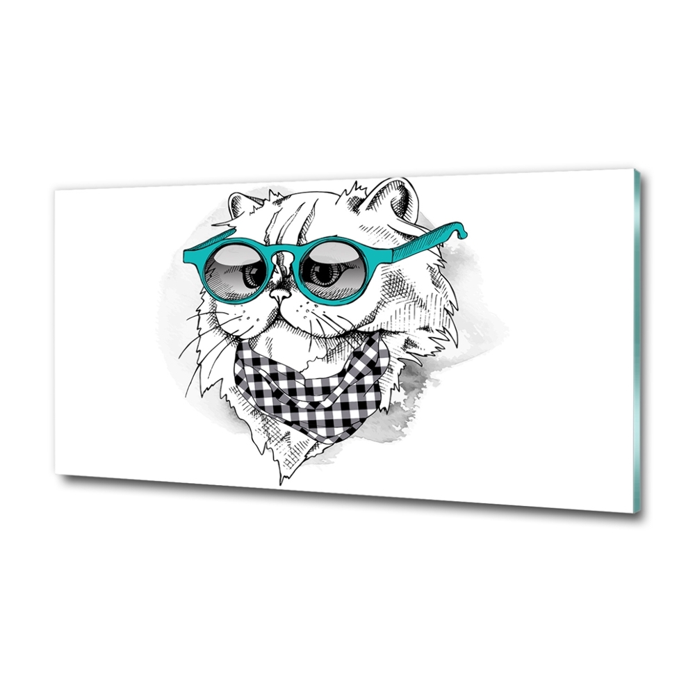 Tablou pe pe sticlă Cat cu ochelari