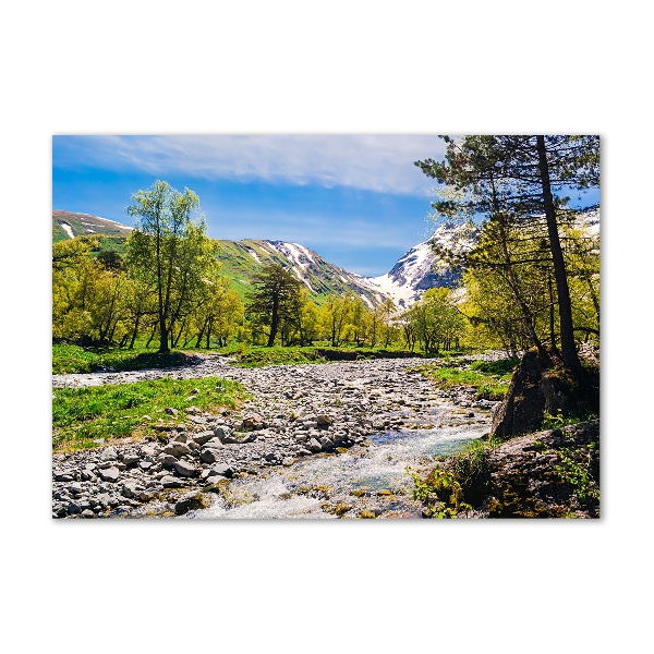 Tablou din Sticlă River în munți