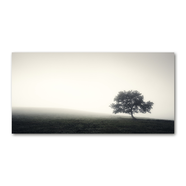 Tablou din Sticlă Lone tree