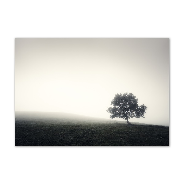 Tablou din Sticlă Lone tree