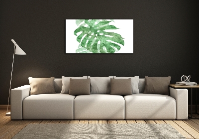 Fotografie imprimată pe sticlă Monstera