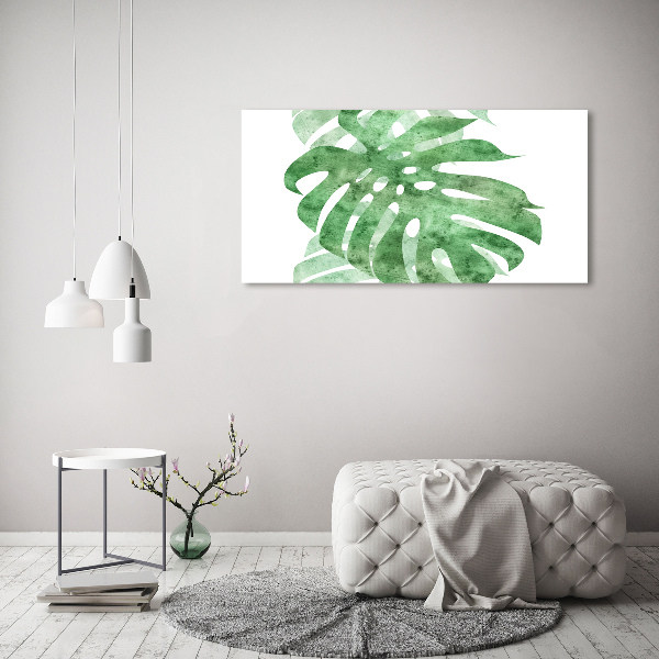 Fotografie imprimată pe sticlă Monstera