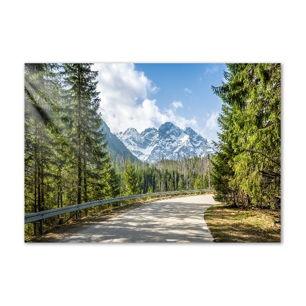 Tablou sticlă Road Tatry