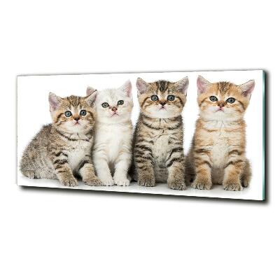 Tablou Printat Pe Sticlă pisici de talie mică
