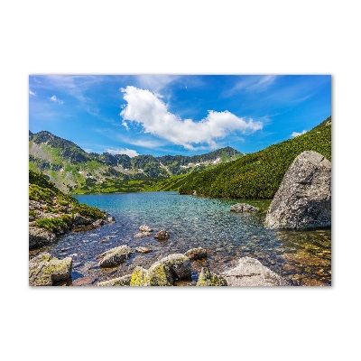 Tablou sticlă Tatra Valley