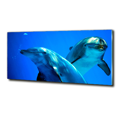 Tablou sticlă doi delfini