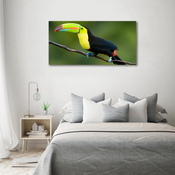 Tablou sticlă Toucan