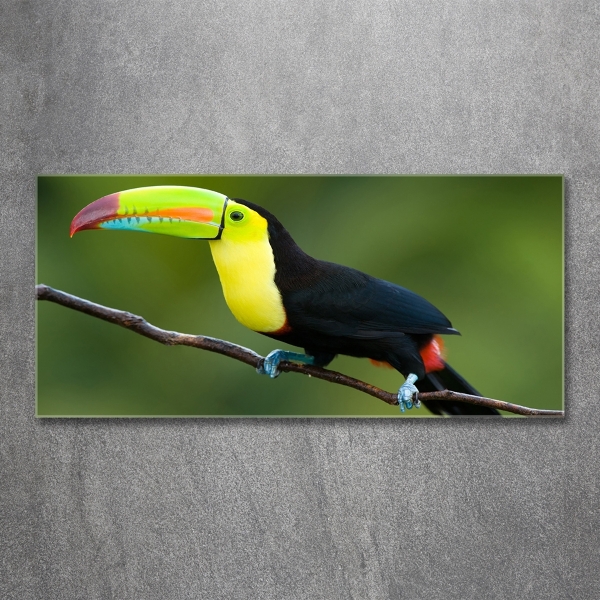 Tablou sticlă Toucan