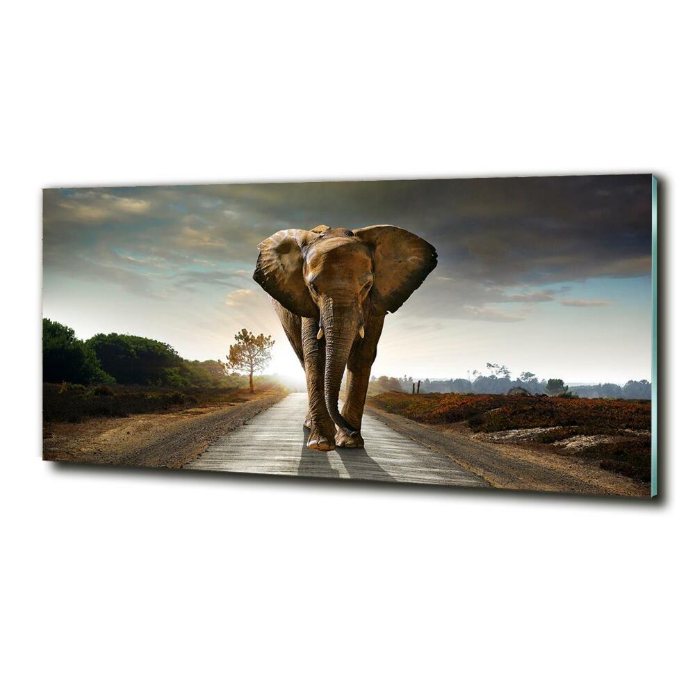 Tablou Printat Pe Sticlă elefant de mers pe jos