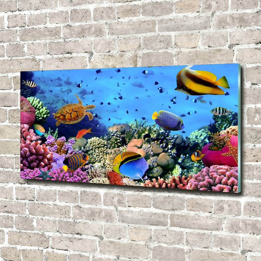 Tablou din Sticlă recif de corali
