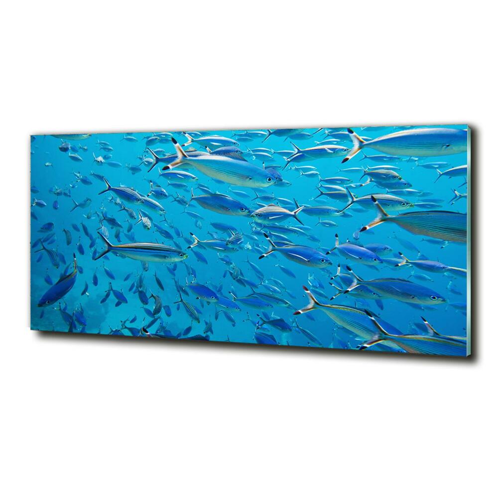 Imagine de sticlă pește Coral