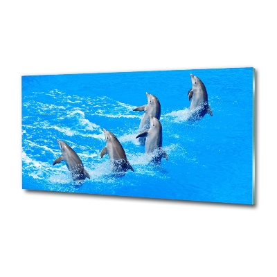 Tablou pe pe sticlă delfini