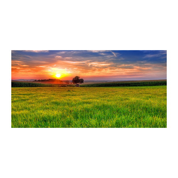 Tablou sticlă Sunset Meadow