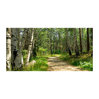 Imagine de sticlă Calea în pădure