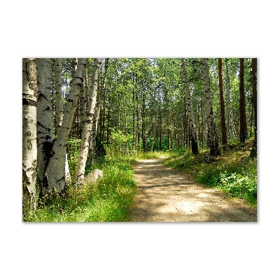Imagine de sticlă Calea în pădure