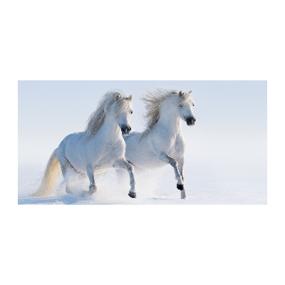 Tablou din Sticlă Doi cai în zăpadă