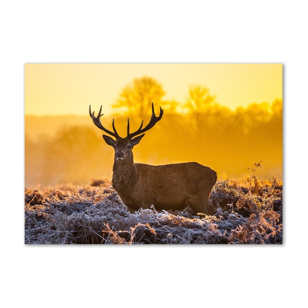 Imagine de sticlă Sunrise Deer