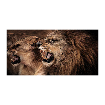 Fotografie imprimată pe sticlă răcnește lei